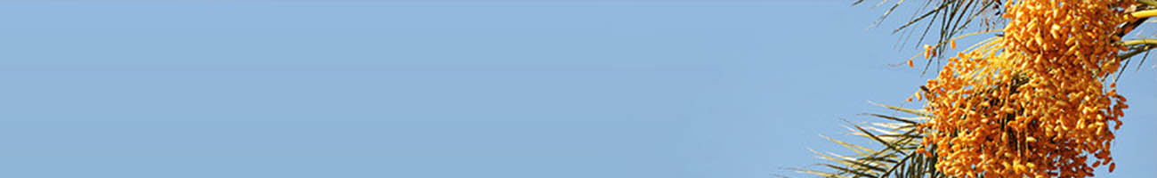 Banner date